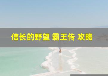 信长的野望 霸王传 攻略